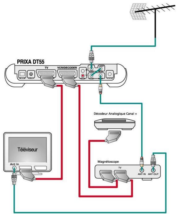 ASTON PRIXA T501 - Branchements du PRIXA DT55 - 1