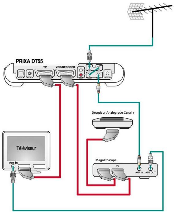 ASTON PRIXA TNT DT55 - Branchements du PRIXA DT55 - 1