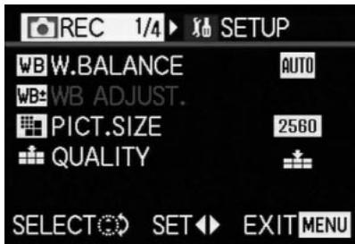 LEICA DIGILUX 2 - Notes: - 1