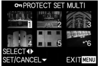 LEICA DIGILUX 2 - Removing protection - MULTI - 1