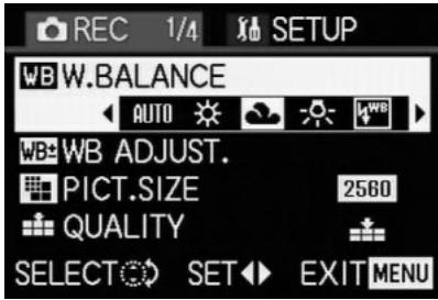 LEICA DIGILUX 2 - Notes: - 5