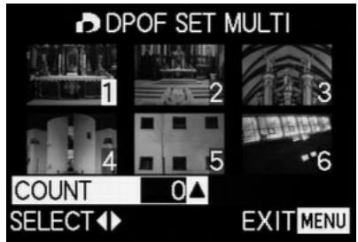 LEICA DIGILUX2 - Print order settings for multiple pictures - MULTI - 1