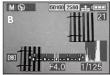 LEICA DIGILUX2 - The histogram - 2