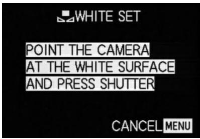 LEICA DIGILUX2 - Manually setting the white balance - - 1