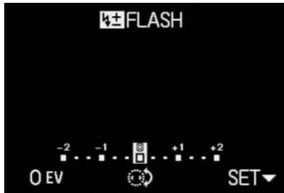 LEICA DIGILUX2 - Setting the function - 1