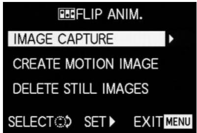 LEICA DIGILUX2 - Creating a series of animated recordings - 1