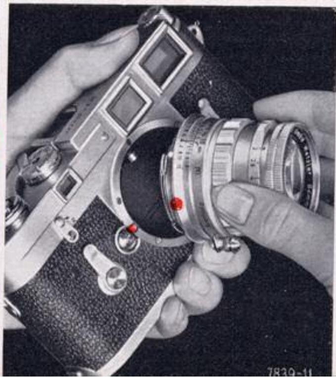 LEICA M3 - Changing Lenses - 2