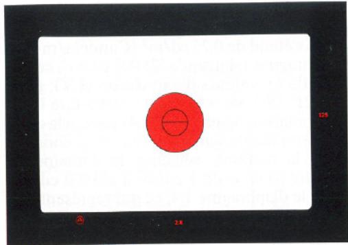 LEICA R-E - Mesure intégrale à grand champ - 1