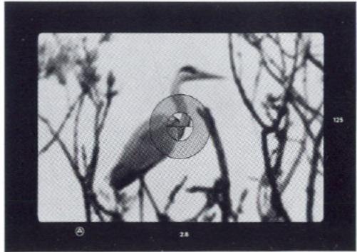 LEICA R-E - Mise au point avec le verre universel - 1