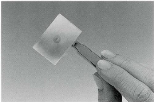 LEICA R8 - Les accessoires pour le LEICA R8 les verres de mise au point - 1