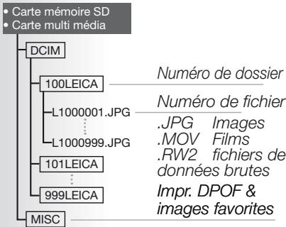 LEICA D-LUX 4 - Arborescence de dossier : - 1
