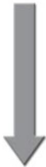 LEICA AUTOSTAINER XL - Leica Autostainer XL – at one glance... - 4