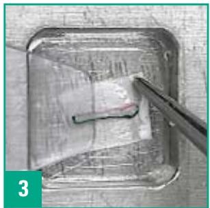 LEICA CRYOEMBEDDING - Technique - 3