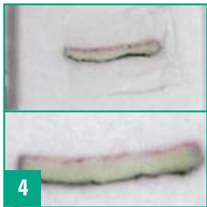 LEICA CRYOEMBEDDING - Technique - 4