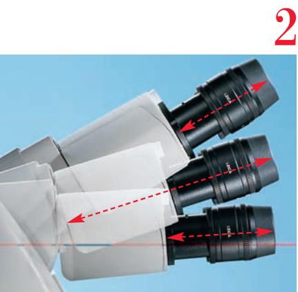 LEICA DM2500 - MYcroscopy: Configured for specific and universal applications - 6