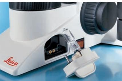 LEICA DM3000LED - Variable height adjustment - 9