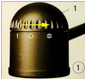LEICA EG 1150 H - Replacing the halogen lamp - 2