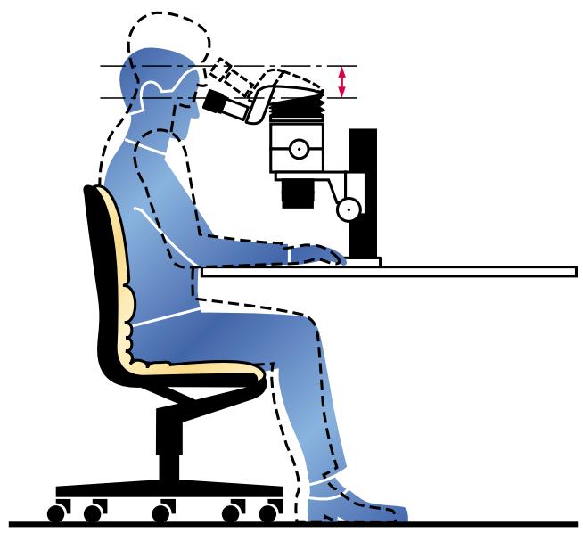 LEICA ERGO - Posture du corps - 2