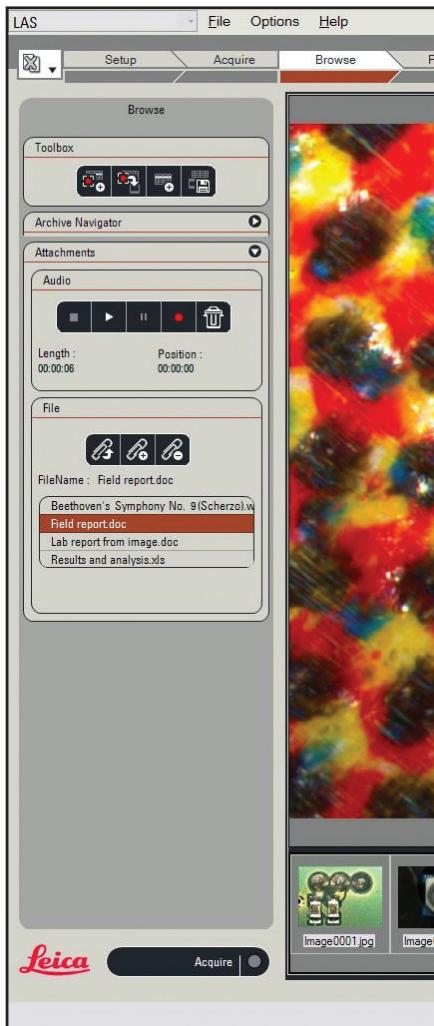 LEICA LAS ARCHIVE - Database Administration - 1