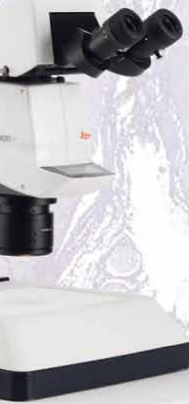 LEICA LAS EXTENDED ANNOTATION - Total Precision - 1