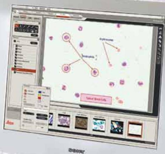 LEICA LAS EXTENDED ANNOTATION - Total Precision - 2