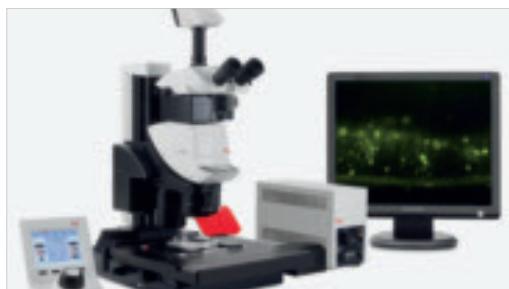 LEICA M165 FC - Integrated solutions make research easy - 5