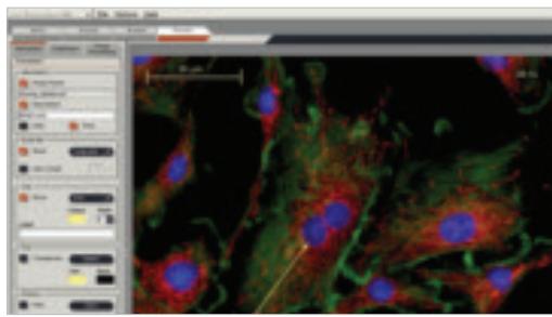 LEICA M165 FC - Advanced software for fluorescence applications - 2