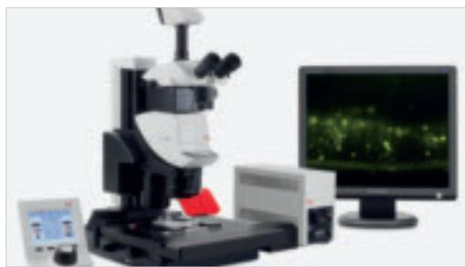 LEICA M205 FA - Integrated solutions make research easy - 5
