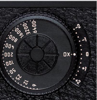 LEICA M7 - Toujours à l'image - 9