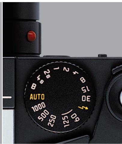 LEICA M7 - Toujours à l'image - 5