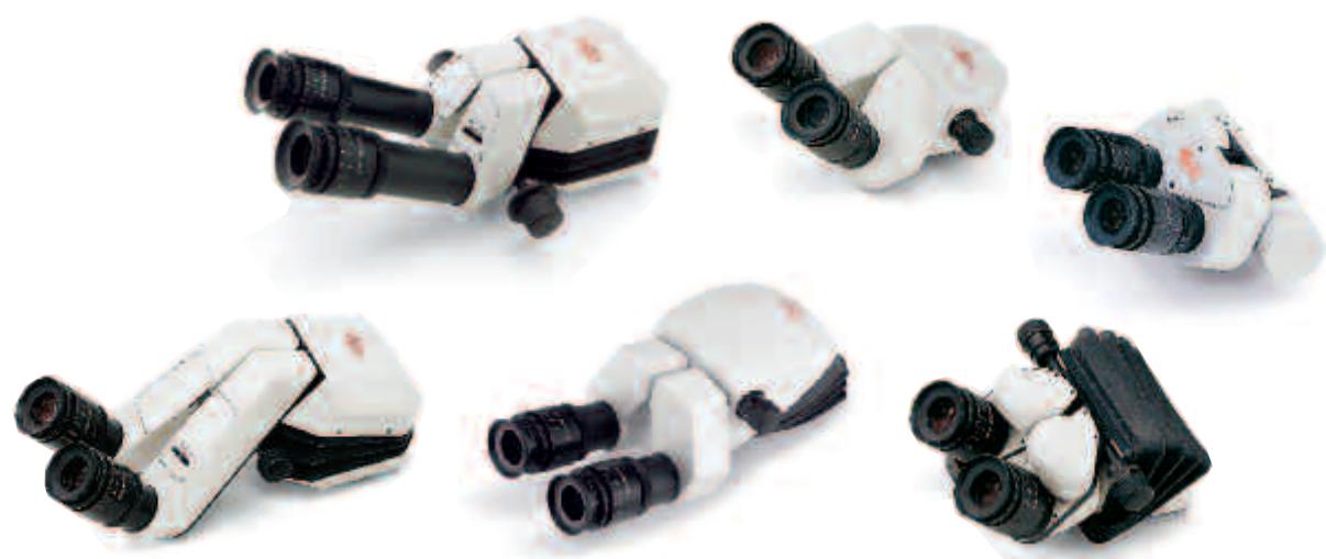 LEICA M844 F40 - Binocular Tube - 1
