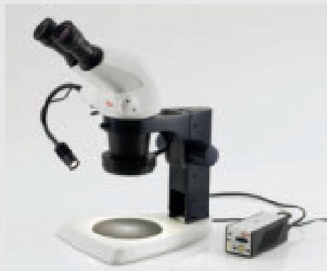 LEICA STEREOZOOM - Leica LED3000 NVI™ – one-of-a-kind - 2