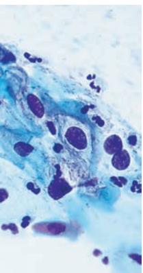 LEICA DM3000 - 17 - 5