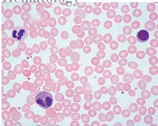 LEICA DM3000 - Hematology - 1