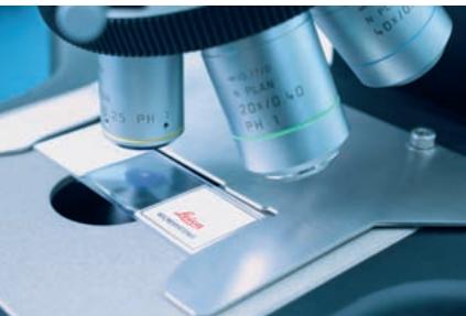 LEICA DM3000 - Variable height adjustment - 6