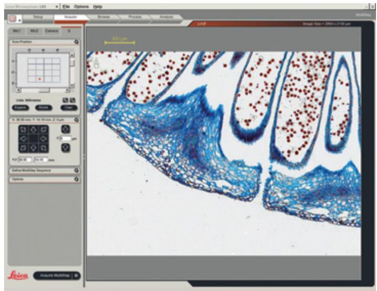 LEICA LAS MULTISTEP - Well Plate Scanning - 1