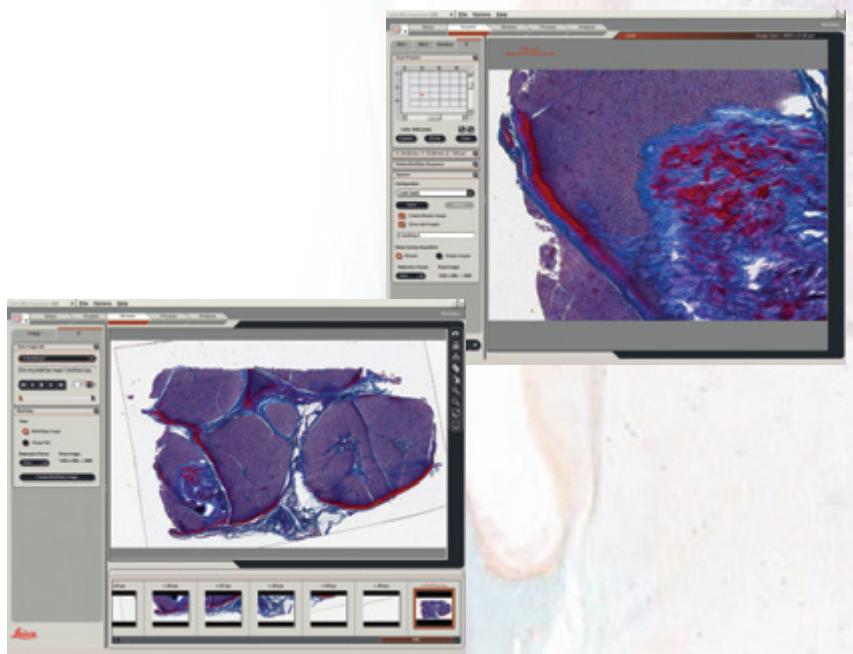 LEICA LAS MULTISTEP - Automatic Image Acquisition - 1