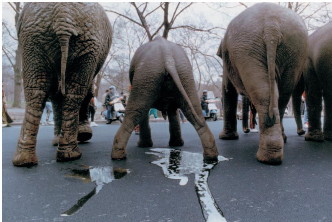 LEICA M - Caractéristiques techniques LEICA M7/LEICA MP - 7