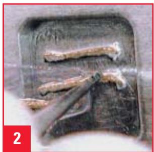 LEICA PRECISION CRYOEMBEDDING SYSTEM - Technique - 2