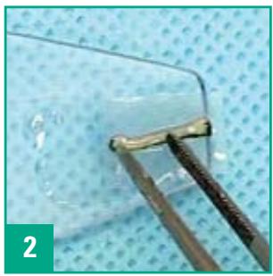LEICA PRECISION CRYOEMBEDDING SYSTEM - Technique - 2