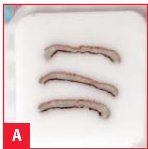 LEICA PRECISION CRYOEMBEDDING SYSTEM - The Results - 1