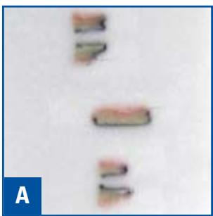LEICA PRECISION CRYOEMBEDDING SYSTEM - The Results - 1