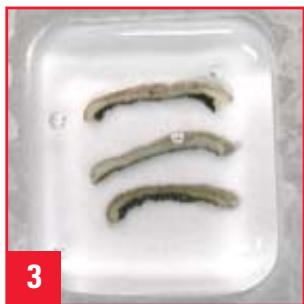 LEICA PRECISION CRYOEMBEDDING SYSTEM - Technique - 3