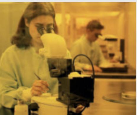 LEICA STEREO ZOOM - Leica Stereozoom® Line - 1