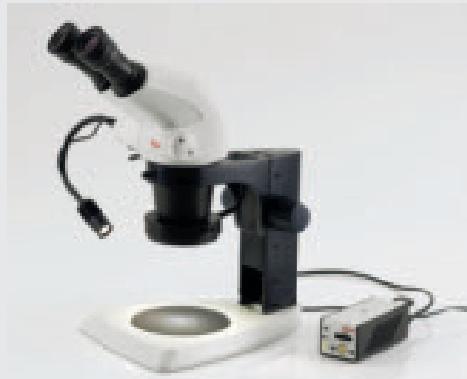 LEICA STEREO ZOOM - Leica LED3000 NVI™ - one-of-a-kind - 2