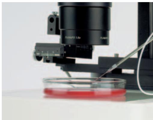 LEICA TL-BASES - Micromanipulation - 1