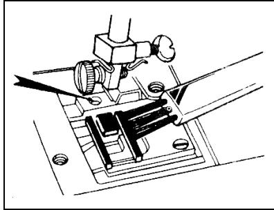 PRIMERA NM800 - Attention! - 2