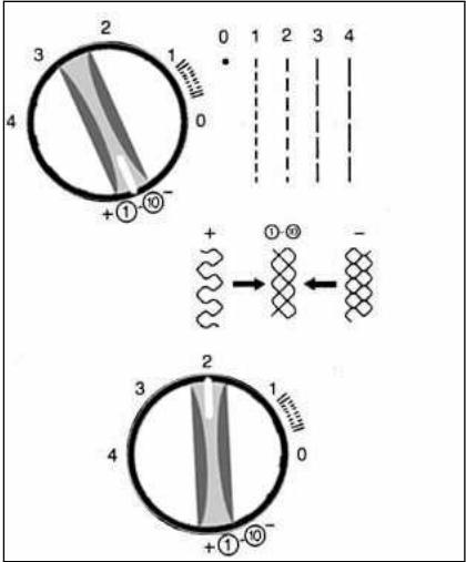 PRIMERA NM902 - Bouton de réglage de la longueur du point - 2