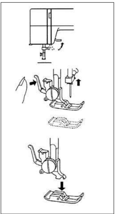 PRIMERA NM902 - Changement du pied de biche - 1