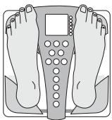 TANITA BC 543 - AFLEESNAUWKEURIGHID - 2